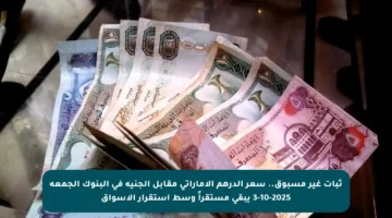ثبات غير مسبوق.. سعر الدرهم الإماراتي مقابل الجنيه في البنوك الجمعة 3-10-2025 يبقى مستقراً وسط استقرار الأسواق